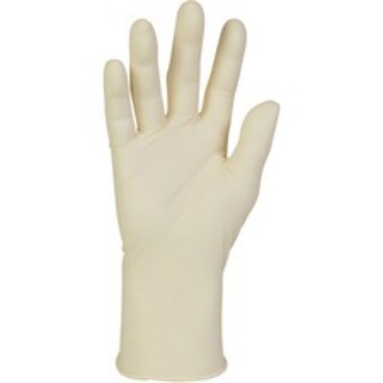 Picture for category Examination Gloves